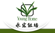 永宏蘭業有限公司
